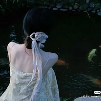 Như/Ppi t/g (chính diện)
