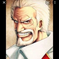 Monkey D Garp