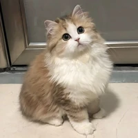 Tina
