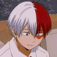 -Todoroki Shoto-