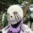 error 505 sans