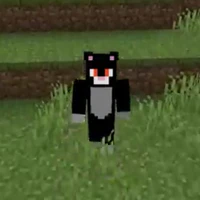 Toanmc