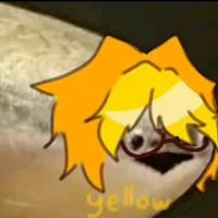 yellow