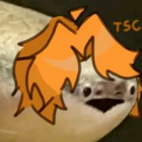 tsc