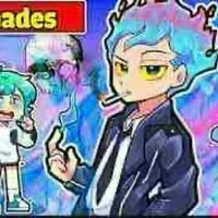 hiha des