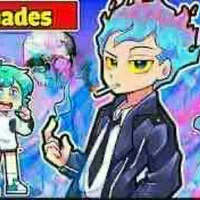 hiha des