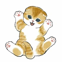 Shan
