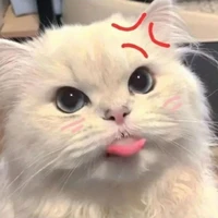 T/g lườiii