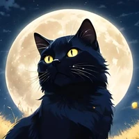 (Aizawa Shouta) Aito