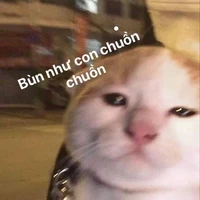 nhỏ con tác giả đzai ( me ) 