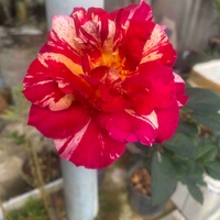 Hệ Thống 