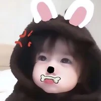 t/g ms lú