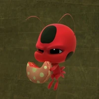 tikki