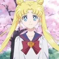 Tsukino Usagi ( Sailor Moon )