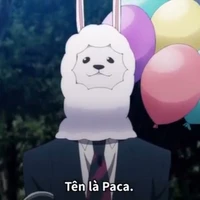 Paca