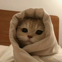 Kiki