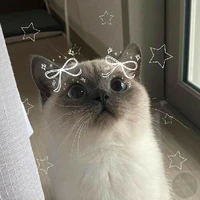 Mimi