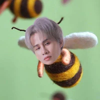 thần đồng đất Việt