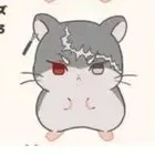 Hitto Kakuchou
