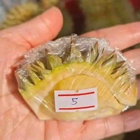 Lực lượng phòng vệ