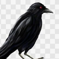 kasugaikarasu