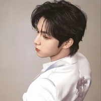 Lưu Diệu Văn