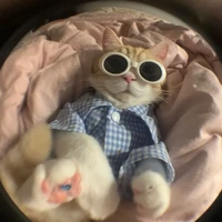 vịu ơ cuti