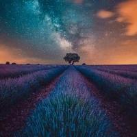 Học sinh trường Easton