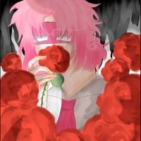 hiha alpha