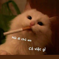 T/g_hoàng thượng