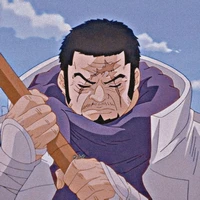 fujitora(30 tuổi)-đô đốc