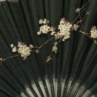 nhóm báo(tako,kane,sabi,mako,toha,yui)