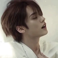 Lee Minho(Lee Know)