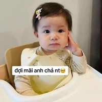 Nhỏ tác giả