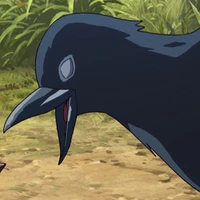 Roko