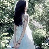 Triệu Vân Anh