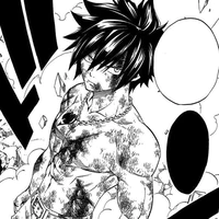 Gray Fullbuster