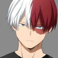 Shoto Todoroki 