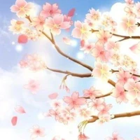 Người bí ẩn