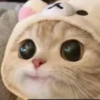 hệ thống mất dạy