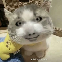 cái lớp bất ổn