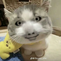 cái lớp bất ổn