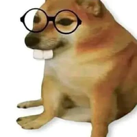 con 🐶nhà hàng xóm