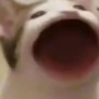 T/g đẹp vô cùng tận =))