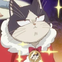Mèo