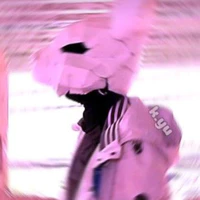 404
