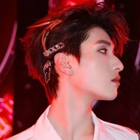 Nghiêm Hạo Tường(Anh)