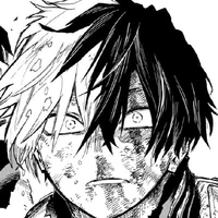 Todoroki Shouto (Shouto)