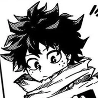 Midoriya Izuku(Deku)