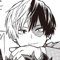 Todoroki Shouto (Shouto)